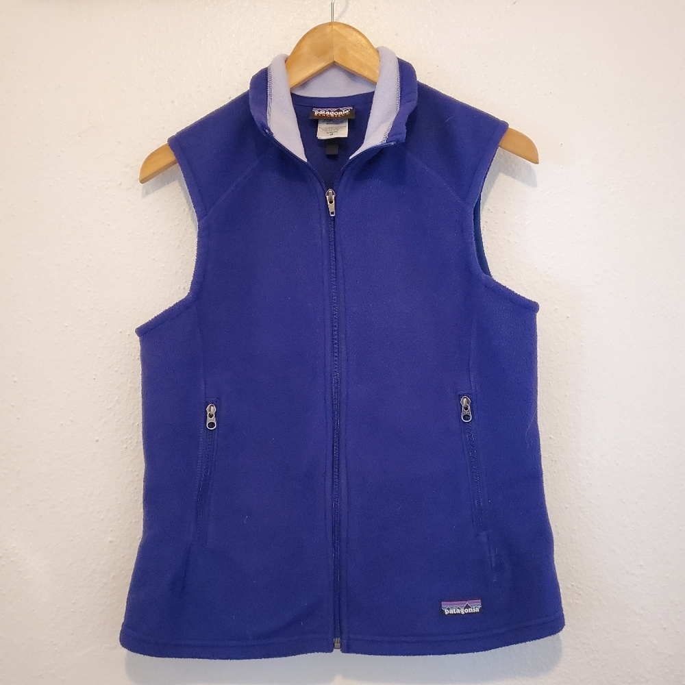 Patagonia Synchilla 3 for $25 Fleece Vest